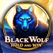 Đội ngũ hỗ trợ khách hàng của KU Casino