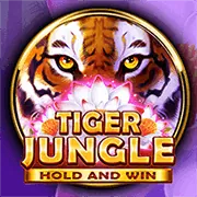 Tránh các trang web giả mạo KU Casino